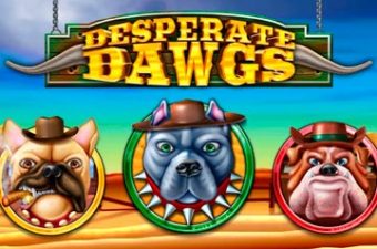 Desperate Dawgs